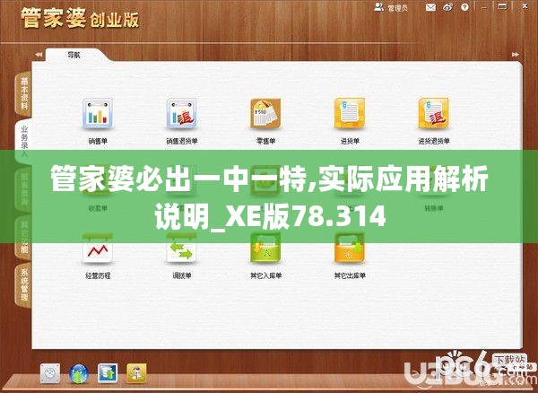 管家婆必出一中一特,实际应用解析说明_XE版78.314