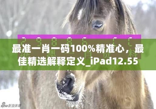 最准一肖一码100%精准心，最佳精选解释定义_iPad12.55.19