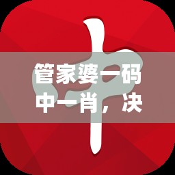 管家婆一码中一肖，决策资料解析说明_战略版6.43.40