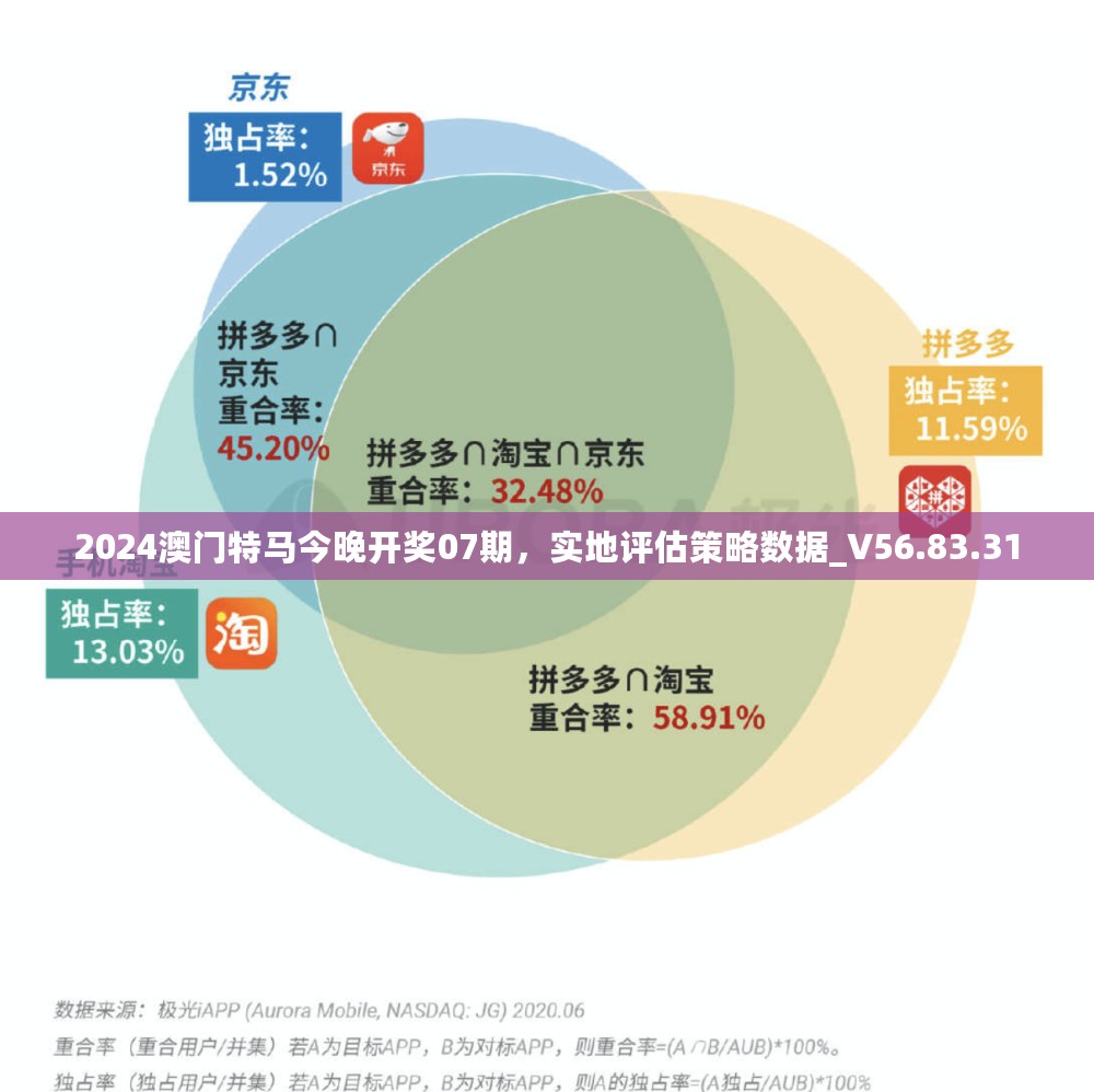 2024澳门特马今晚开奖07期，实地评估策略数据_V56.83.31