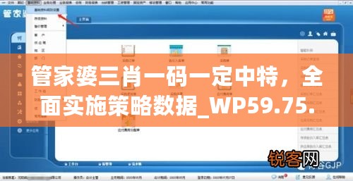 管家婆三肖一码一定中特，全面实施策略数据_WP59.75.46