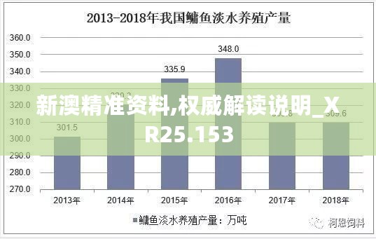 新澳精准资料,权威解读说明_XR25.153