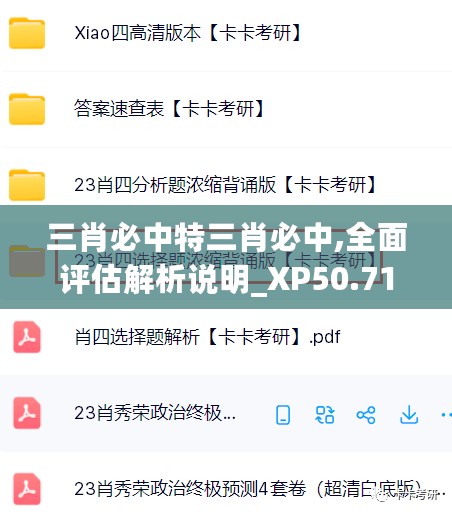 三肖必中特三肖必中,全面评估解析说明_XP50.713