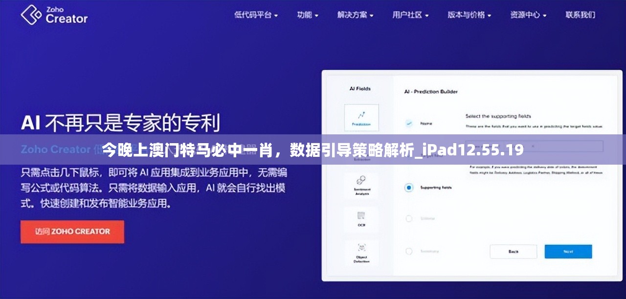 今晚上澳门特马必中一肖，数据引导策略解析_iPad12.55.19