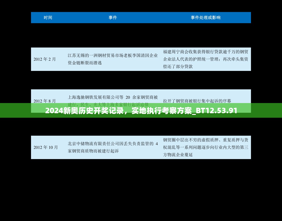 2024新奥历史开奖记录，实地执行考察方案_BT12.53.91