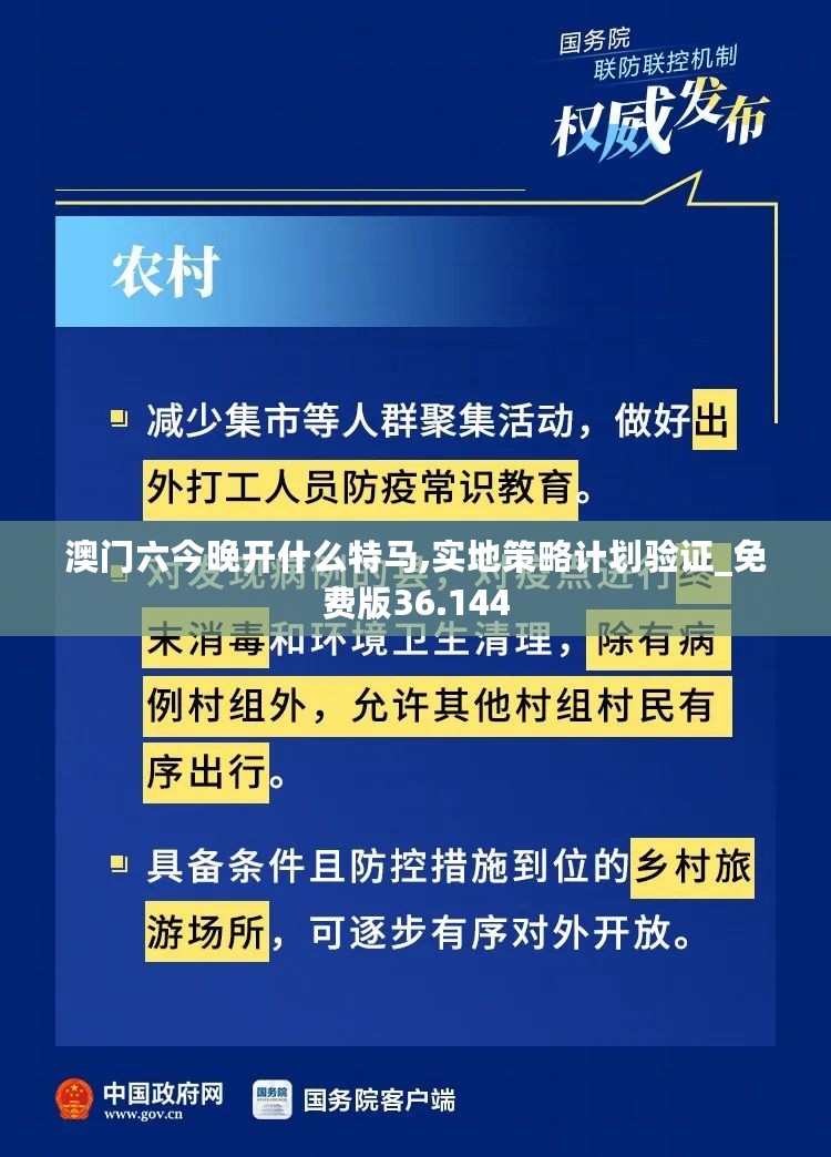 澳门六今晚开什么特马,实地策略计划验证_免费版36.144