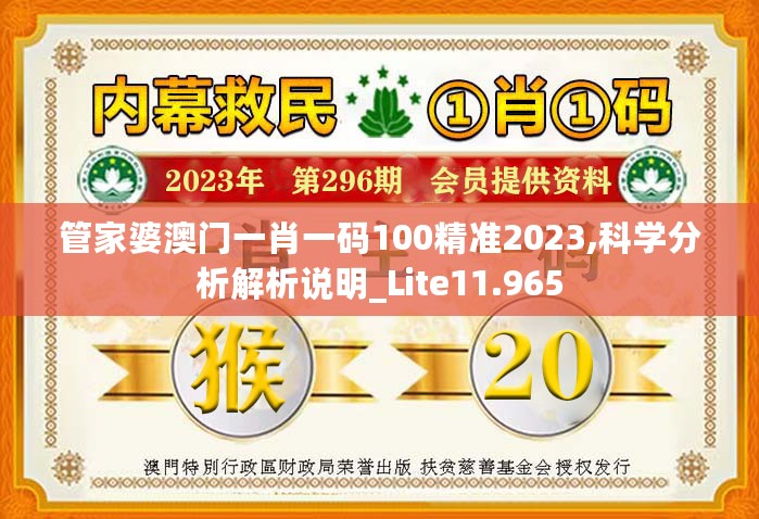 管家婆澳门一肖一码100精准2023,科学分析解析说明_Lite11.965