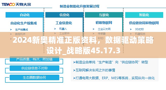 2024新奥精准正版资料，数据驱动策略设计_战略版45.17.3