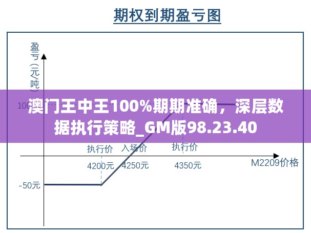 澳门王中王100%期期准确，深层数据执行策略_GM版98.23.40