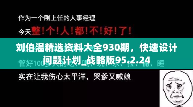 刘伯温精选资料大全930期，快速设计问题计划_战略版95.2.24