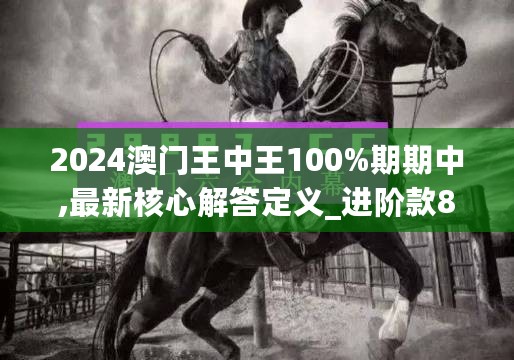 2024澳门王中王100%期期中,最新核心解答定义_进阶款85.272