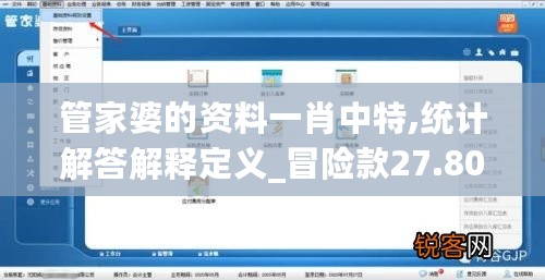 管家婆的资料一肖中特,统计解答解释定义_冒险款27.800