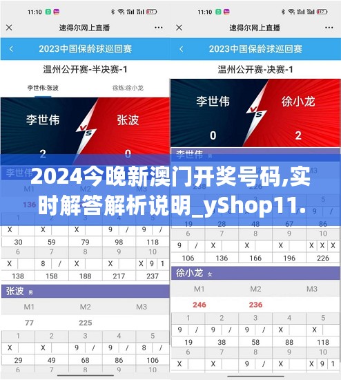 2024今晚新澳门开奖号码,实时解答解析说明_yShop11.867