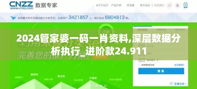 2024管家婆一码一肖资料,深层数据分析执行_进阶款24.911