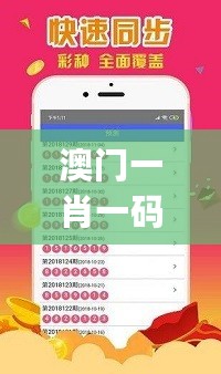 澳门一肖一码100%精准王中王,创新性执行计划_macOS40.768