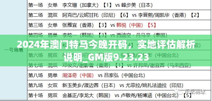 2024年澳门特马今晚开码，实地评估解析说明_GM版9.23.23