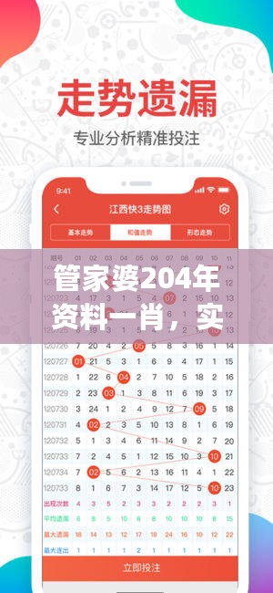 管家婆204年资料一肖，实地验证设计方案_ios35.11.16