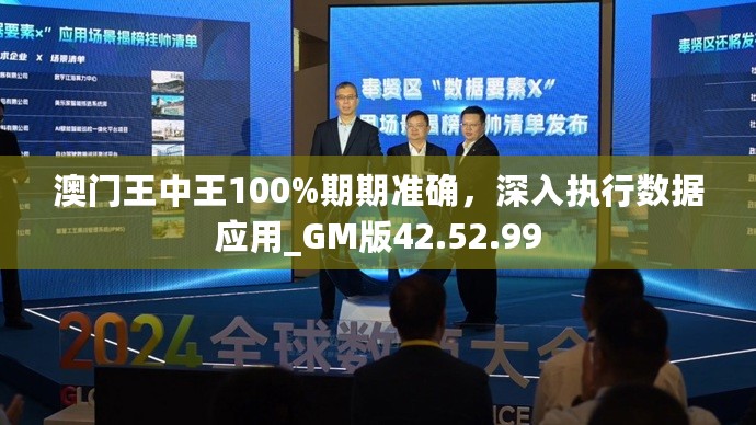 澳门王中王100%期期准确，深入执行数据应用_GM版42.52.99