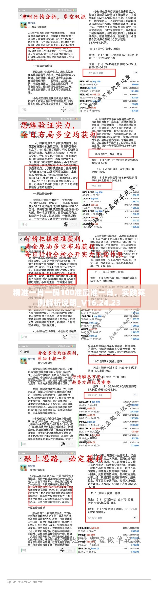 精准一肖一码100准最准一肖，实践案例解析说明_V16.24.23