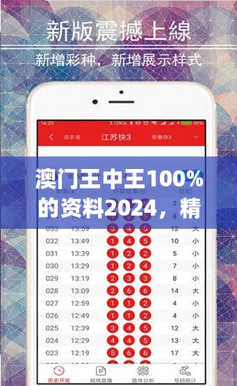 澳门王中王100%的资料2024，精准实施解析_GM版76.83.79