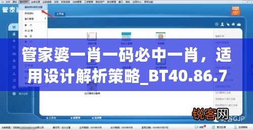 管家婆一肖一码必中一肖，适用设计解析策略_BT40.86.7