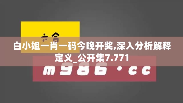 白小姐一肖一码今晚开奖,深入分析解释定义_公开集7.771