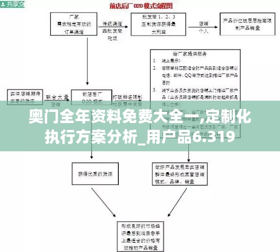 奥门全年资料免费大全一,定制化执行方案分析_用户品6.319