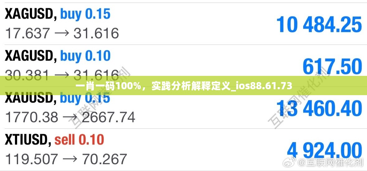 一肖一码100%，实践分析解释定义_ios88.61.73