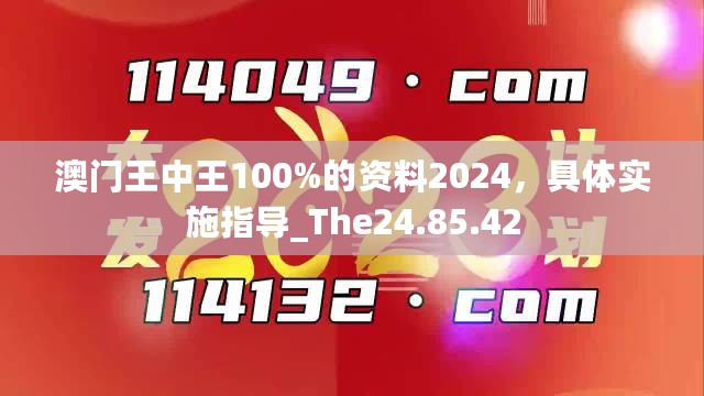 澳门王中王100%的资料2024，具体实施指导_The24.85.42