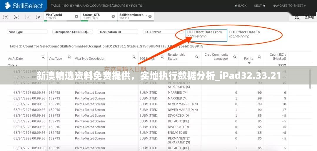 新澳精选资料免费提供，实地执行数据分析_iPad32.33.21