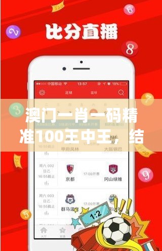 澳门一肖一码精准100王中王，结构化推进评估_网页版94.18.75