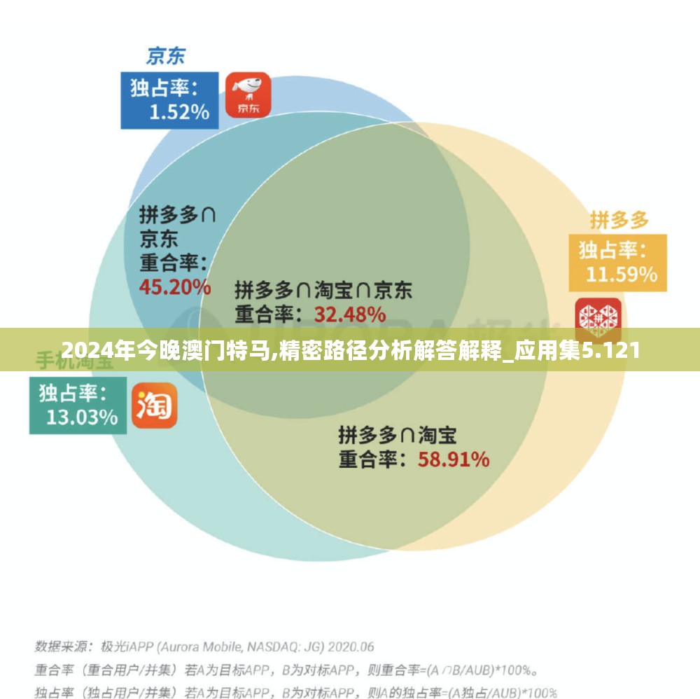 2024年今晚澳门特马,精密路径分析解答解释_应用集5.121