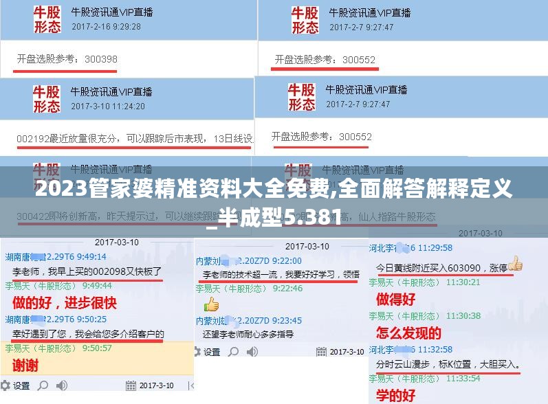 2023管家婆精准资料大全免费,全面解答解释定义_半成型5.381