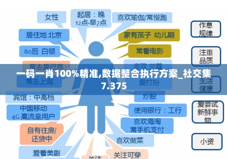 一码一肖100%精准,数据整合执行方案_社交集7.375