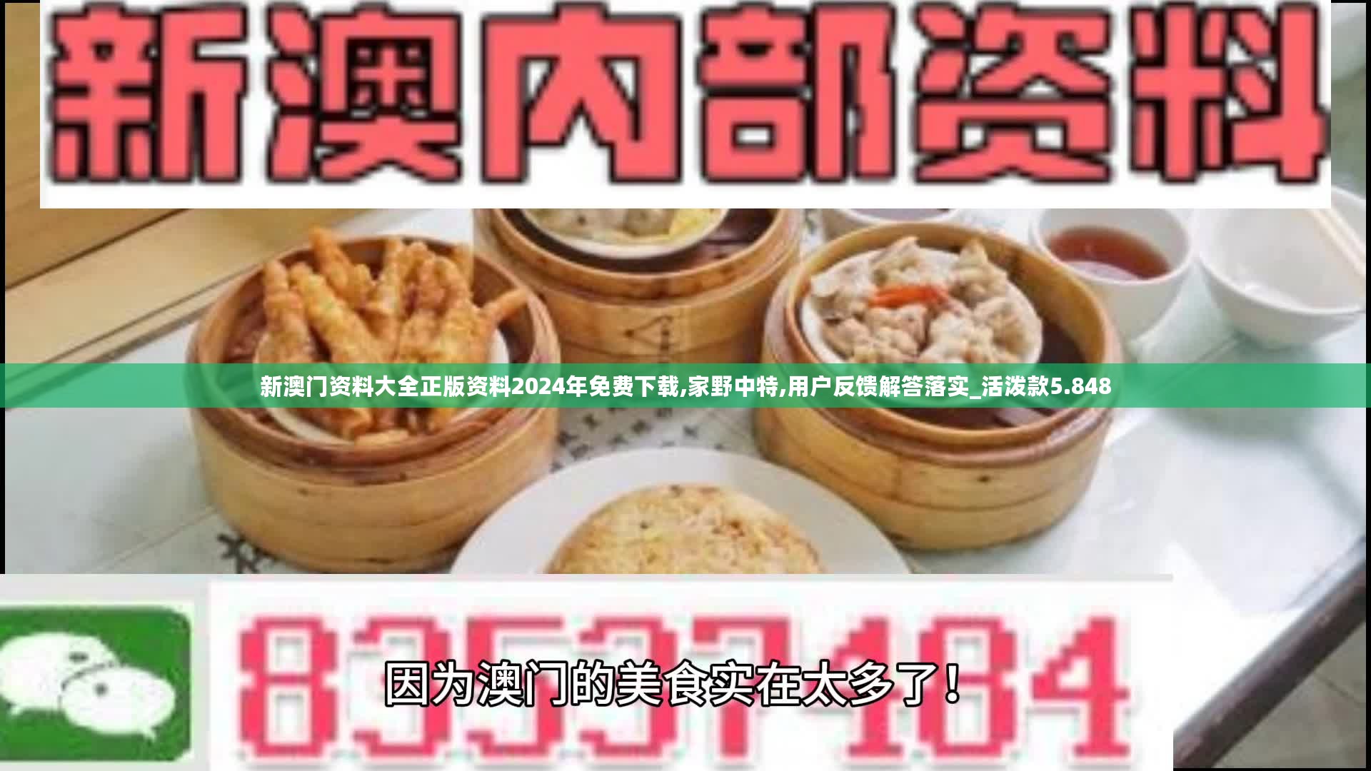 新澳门资料大全正版资料2024年免费下载,家野中特,用户反馈解答落实_活泼款5.848