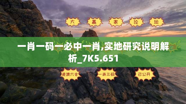 一肖一码一必中一肖,实地研究说明解析_7K5.651