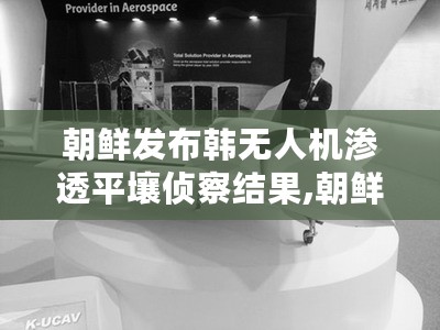 朝鲜公布韩无人机侦察结果，深入解析与多方观点碰撞，揭示无人机渗透平壤真相