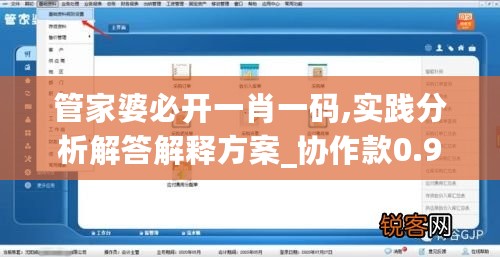 管家婆必开一肖一码,实践分析解答解释方案_协作款0.981