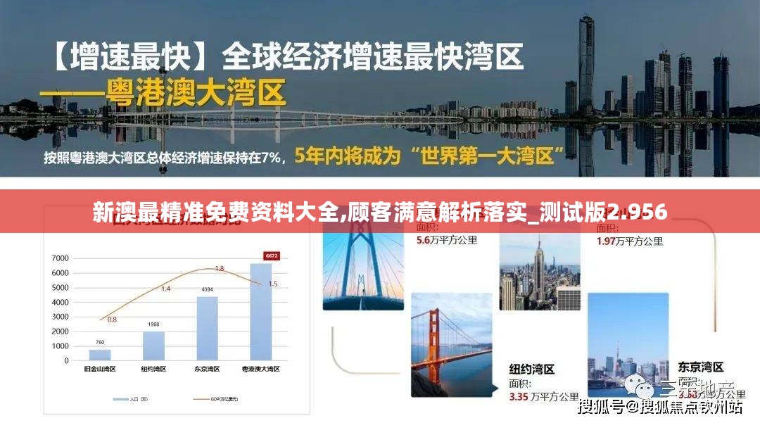 新澳最精准免费资料大全,顾客满意解析落实_测试版2.956