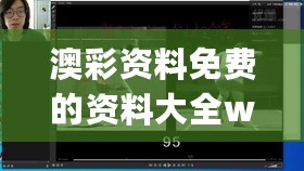 澳彩资料免费的资料大全wwe,深邃实施解答解释_透明版1.886