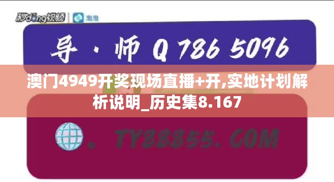 澳门4949开奖现场直播+开,实地计划解析说明_历史集8.167