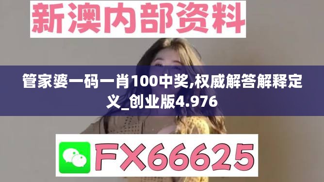 管家婆一码一肖100中奖,权威解答解释定义_创业版4.976