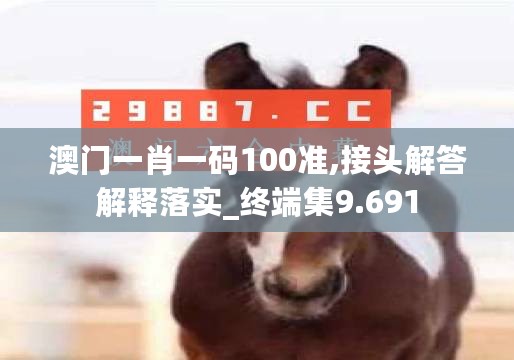 澳门一肖一码100准,接头解答解释落实_终端集9.691