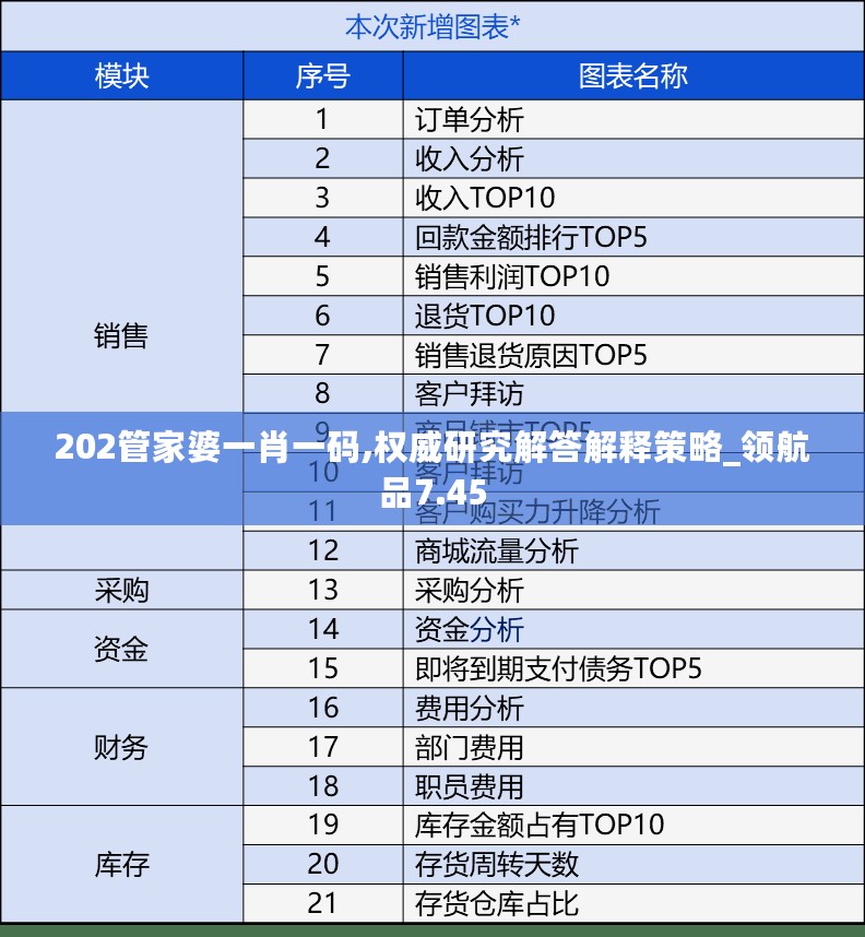 202管家婆一肖一码,权威研究解答解释策略_领航品7.45