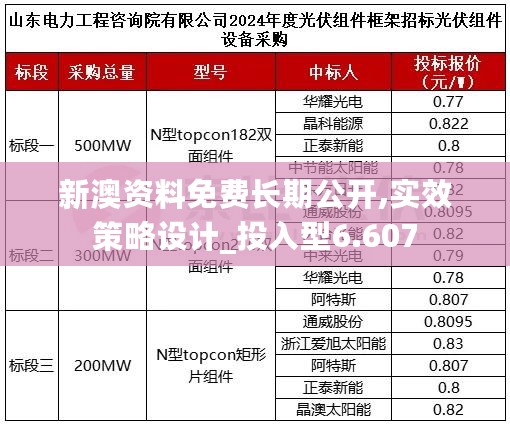 新澳资料免费长期公开,实效策略设计_投入型6.607