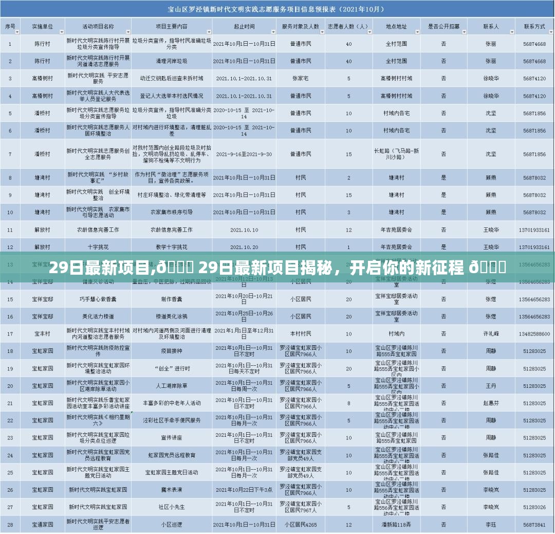 29日最新项目揭秘，启程新征程