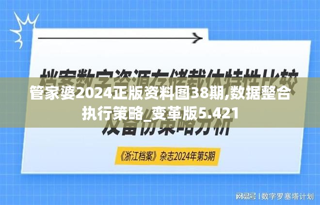 管家婆2024正版资料图38期,数据整合执行策略_变革版5.421