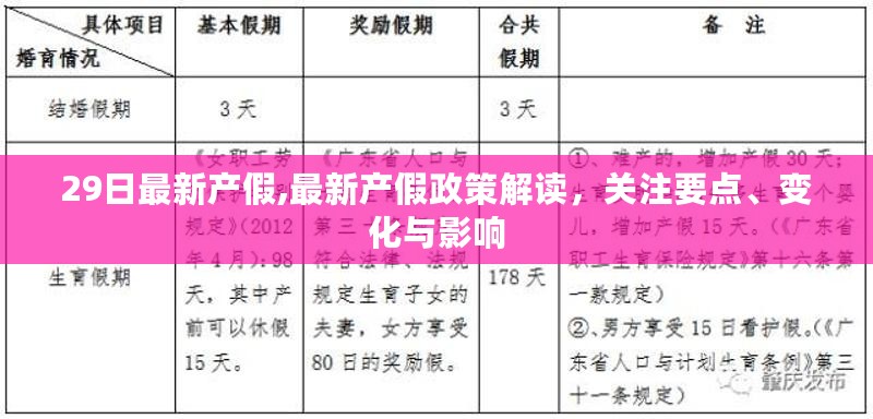 最新产假政策解读，关注要点、变化与影响分析