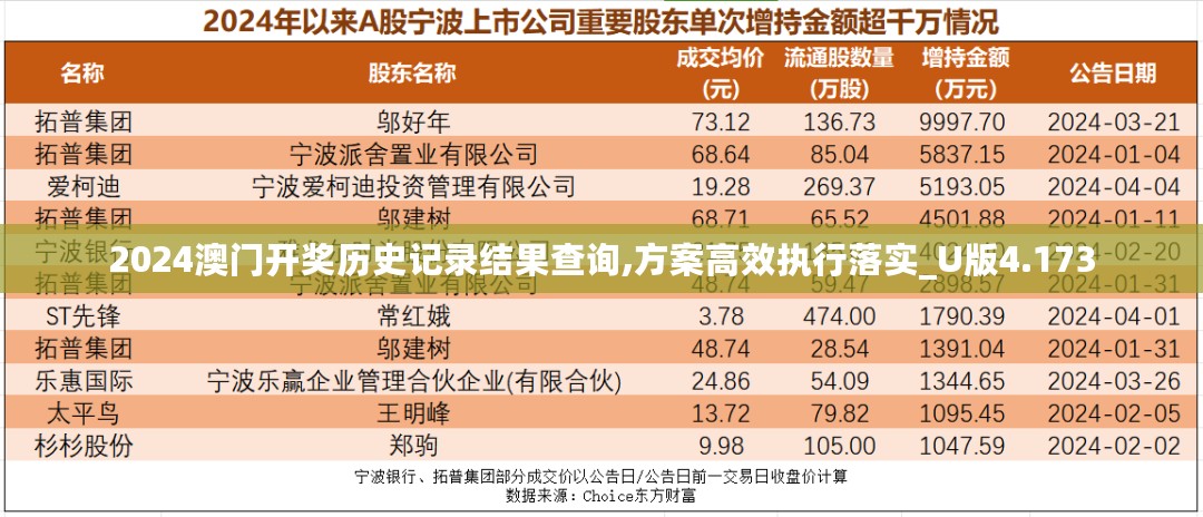 2024澳门开奖历史记录结果查询,方案高效执行落实_U版4.173