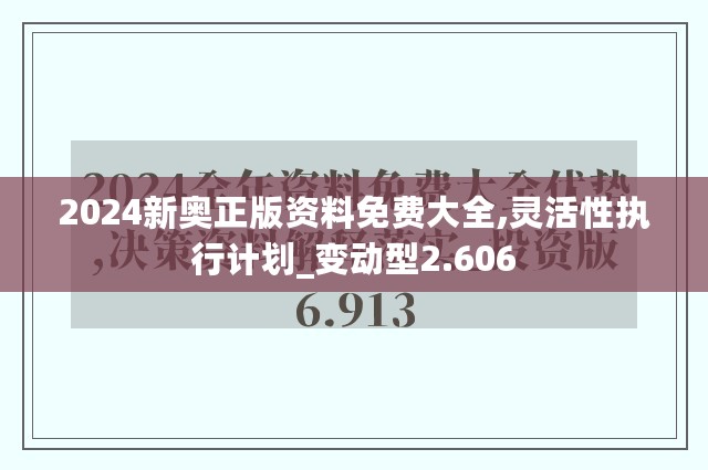 2024新奥正版资料免费大全,灵活性执行计划_变动型2.606